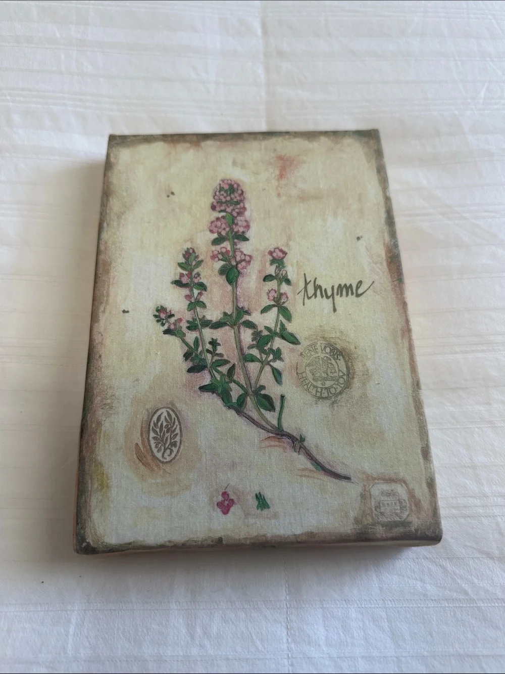 Botanical Thyme Wall Art Print - Pink and Green